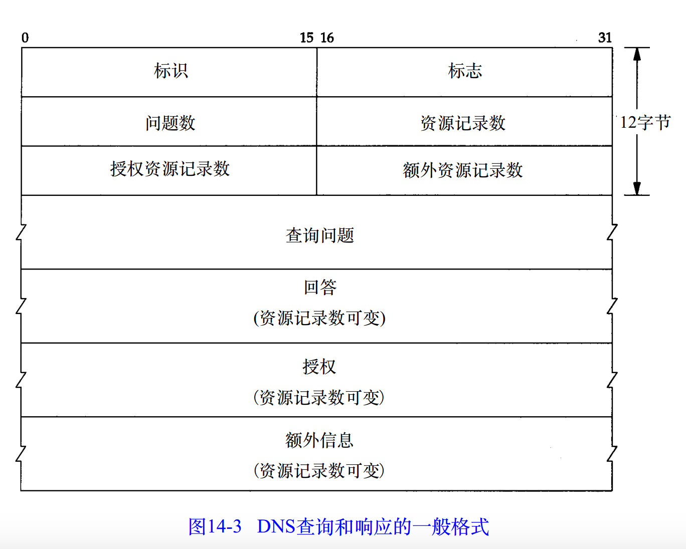 DNS报文格式